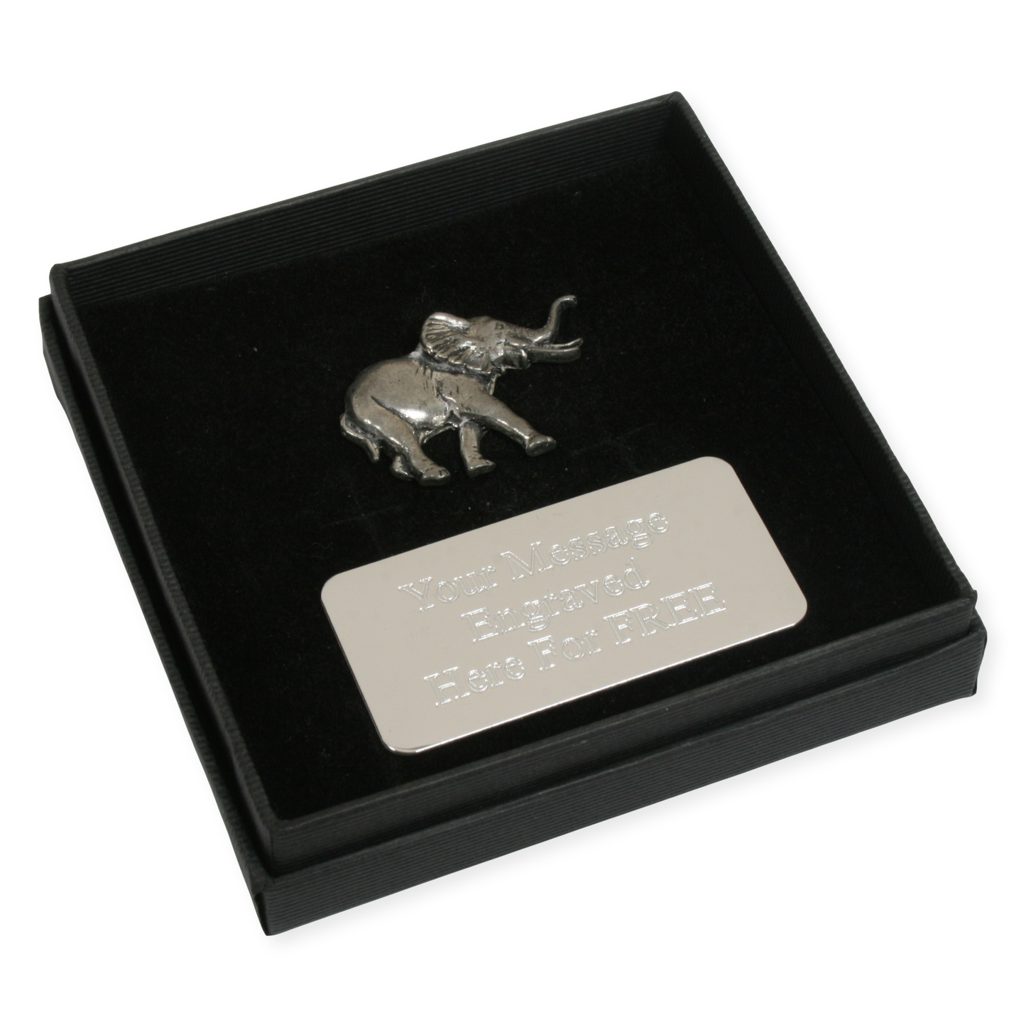 Safari Animals Pin Badge Nature Wilding Gift Engraved Box