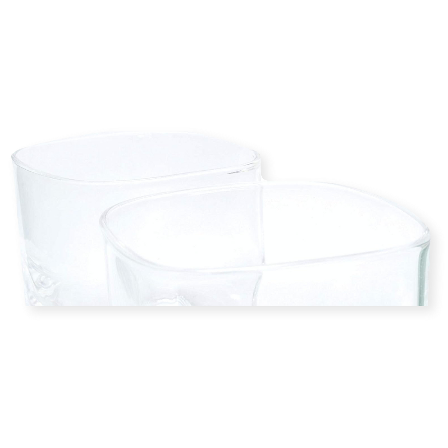 Insect Designed Pair of Glass Tumblers