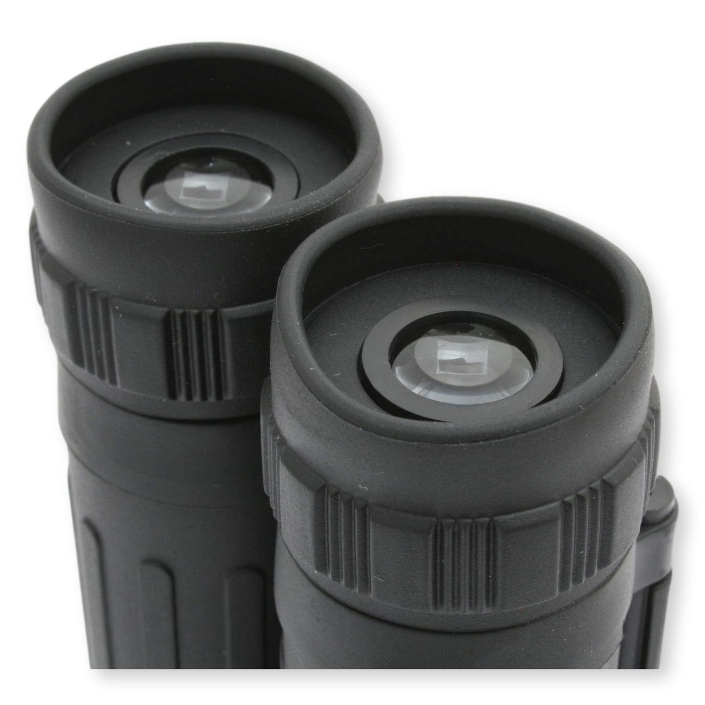 Insects Binoculars Rubber Coated Bird Watching Gift 8 x 21