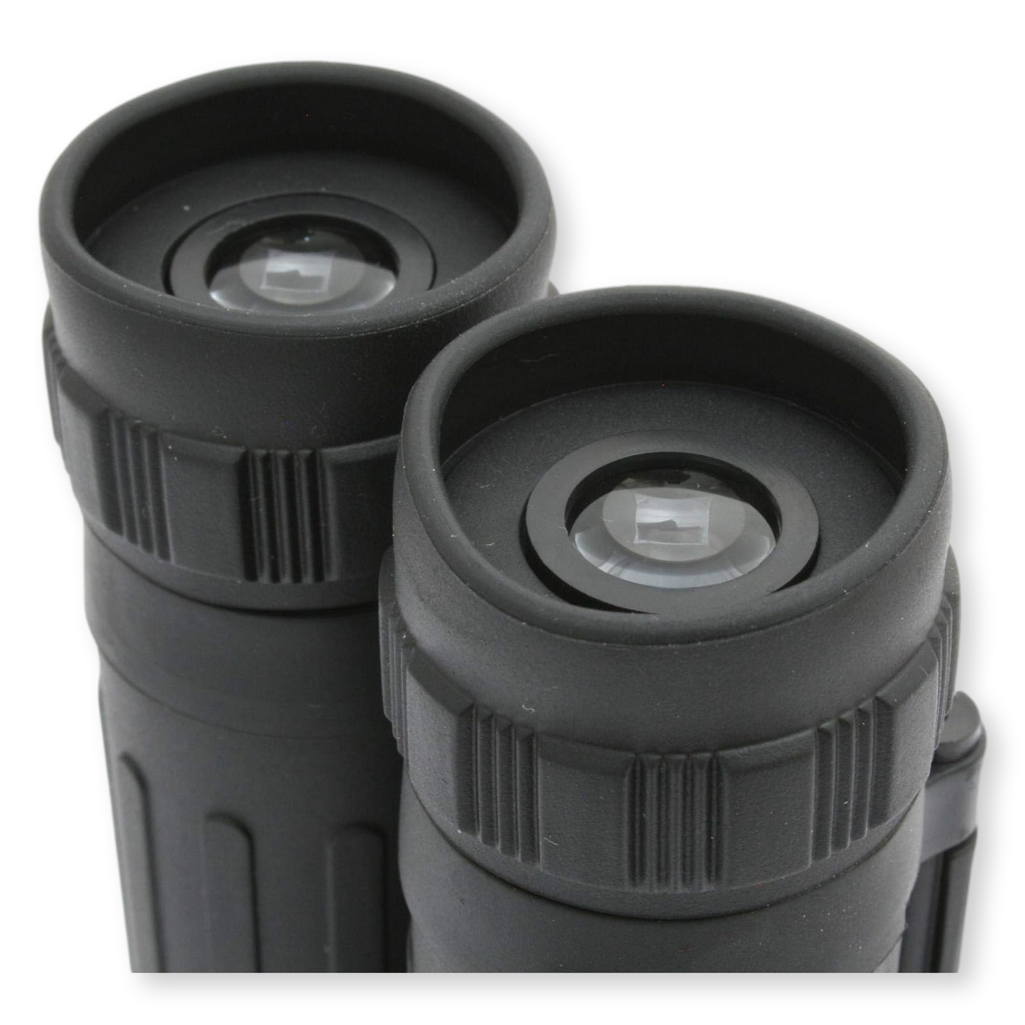 Butterfly Binoculars Rubber Coated Bird Watching Gift 8 x 21