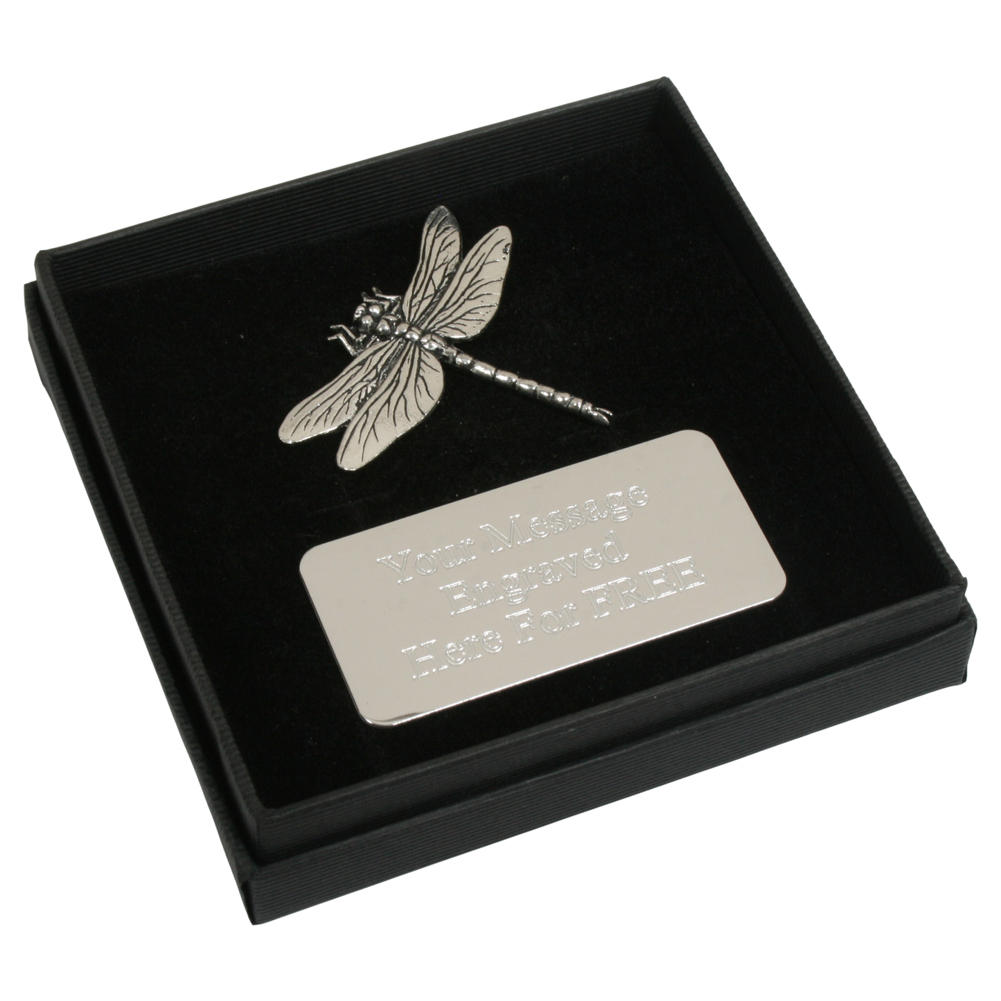 Insects Pin Badge Nature Wilding Gift Engraved Box