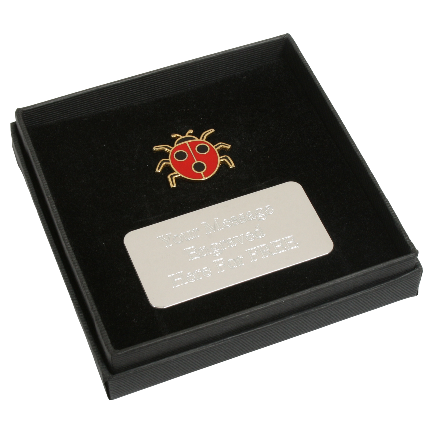 Insects Pin Badge Nature Wilding Gift Engraved Box