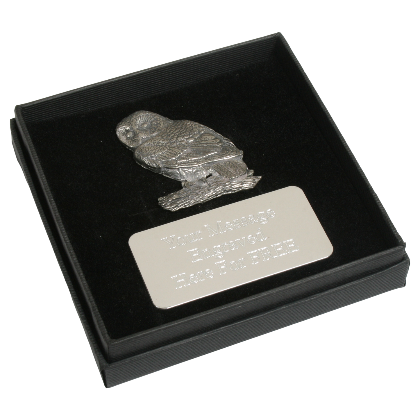 Birds Pin Badge Nature Wilding Gift Engraved Box