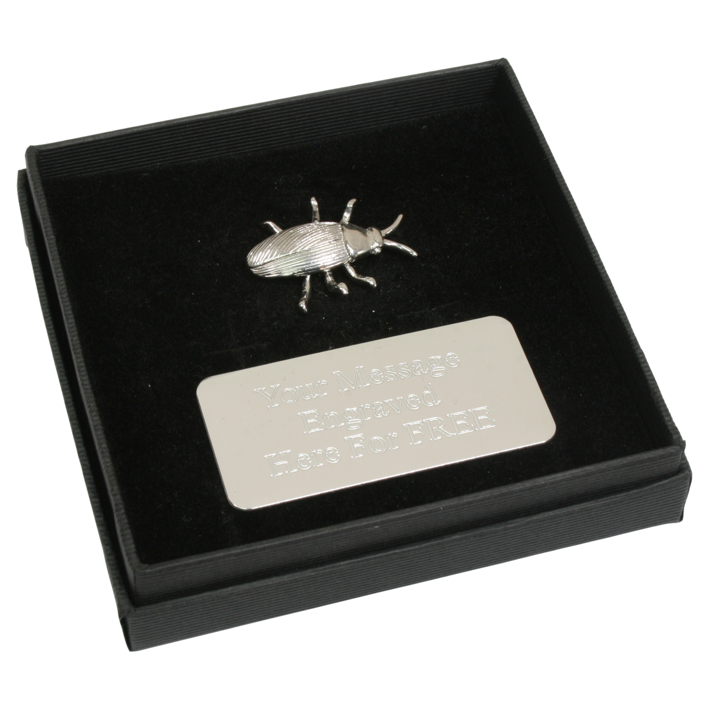 Insects Pin Badge Nature Wilding Gift Engraved Box