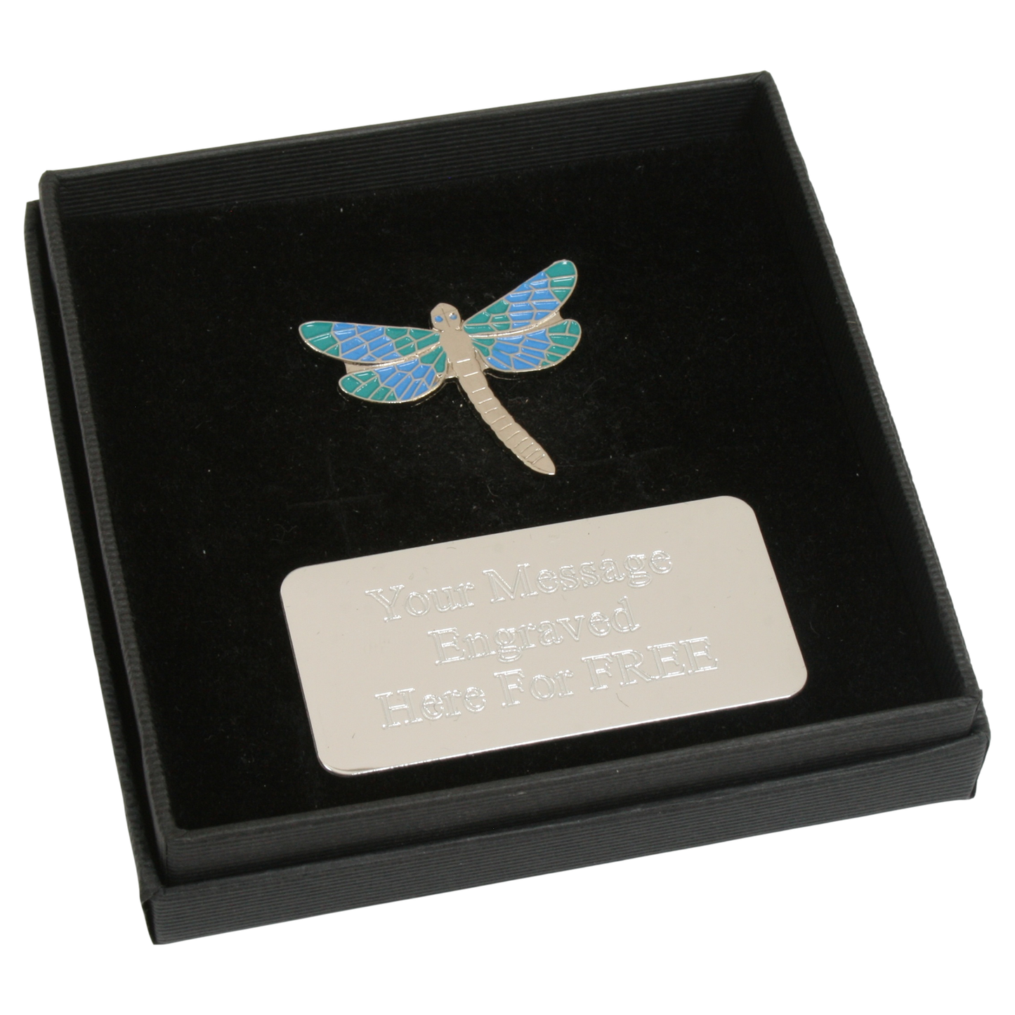 Insects Pin Badge Nature Wilding Gift Engraved Box